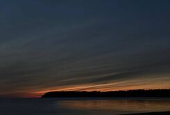 IMG-20211128-WA0017